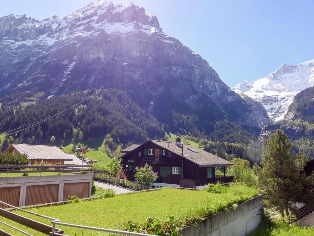 Apartment Chalet Almis-Bödeli-1 Grindelwald Dış mekan fotoğraf